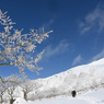 伊吹山