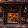 山門からの紅葉