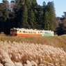 小湊鉄道の里山！①