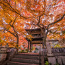 紅葉のおもてなし