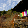 長谷寺本堂から五重塔遠景