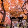 一休み