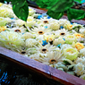 12月 今年最後の花手水舎