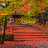 雨上がりの安楽寺