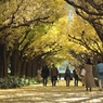 autumn for tokyoites 2021