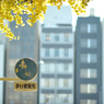 autumn for tokyoites 2021