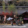 写真エッセイ：袋田の秋14：横目で通る
