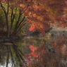 Tokyo Autumn