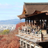 清水の舞台②