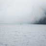 霧の中へ・・・・