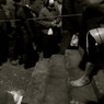 IMG_4391