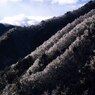 雨氷８