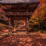 落ち葉の山門