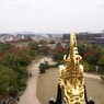 鯱と岡山市街