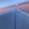 「COOL」エアバス  A350の 翼とその先（ウイングレット）