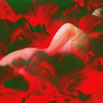 華7