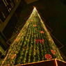 CHRISTMAS TIME IN BLUE -聖なる夜に口笛吹いて。