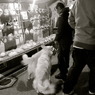 IMG_4354