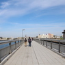 江の島大橋・・