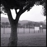 岡崎公園