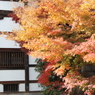 天龍寺②