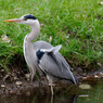 DSC00189_DxO