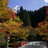 高野山の紅葉