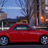 写真句：Merry Christmas to you!!