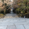 この階段・・・
