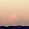 朝富士 6