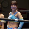 あとは新日本のタッグリーグ戦