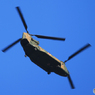 「スカイ」自衛隊 ヘリ　チヌーク　飛来