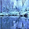 雪の大原三千院２