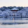 「雪花と弁天堂」