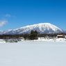 久しぶりのお天気です（^^）