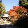 乾徳寺山門