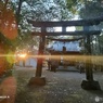 神社 鳥居 逆光 レンズフレア  0115170027 OPPO Reno5 A