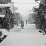 雪の降る日