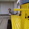 Yellow deck