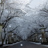 高山寺 雪景色