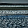 冬の河口・・・