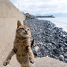 ふわっと浮かぶよ