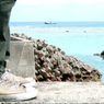 3月の沖永良部