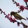 DSC09501