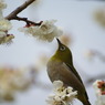 DSC09505