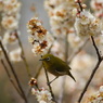 DSC09507