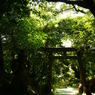 涼み