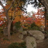 石庭の紅葉
