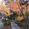 庭園の紅葉