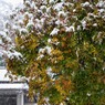 PENTAX 645D初撮り1